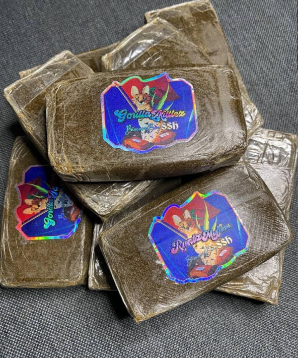 Biscotti Boys SSh