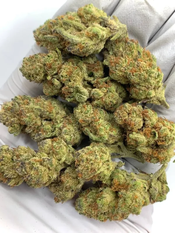 Grapes N Cream Premium Hybrid Strain  30-35% THC