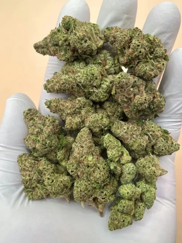 Papaya Bomb Hybrid Strain 31% THC