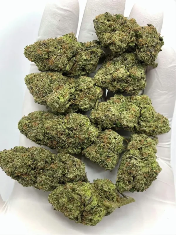 Watermelon Blaster Indica Dominant Hybrid 20-29% THC